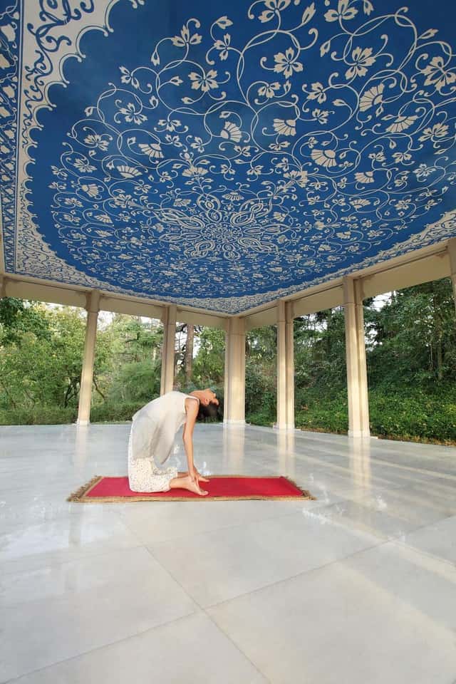 ANANDA  IN THE HIMALAYAS