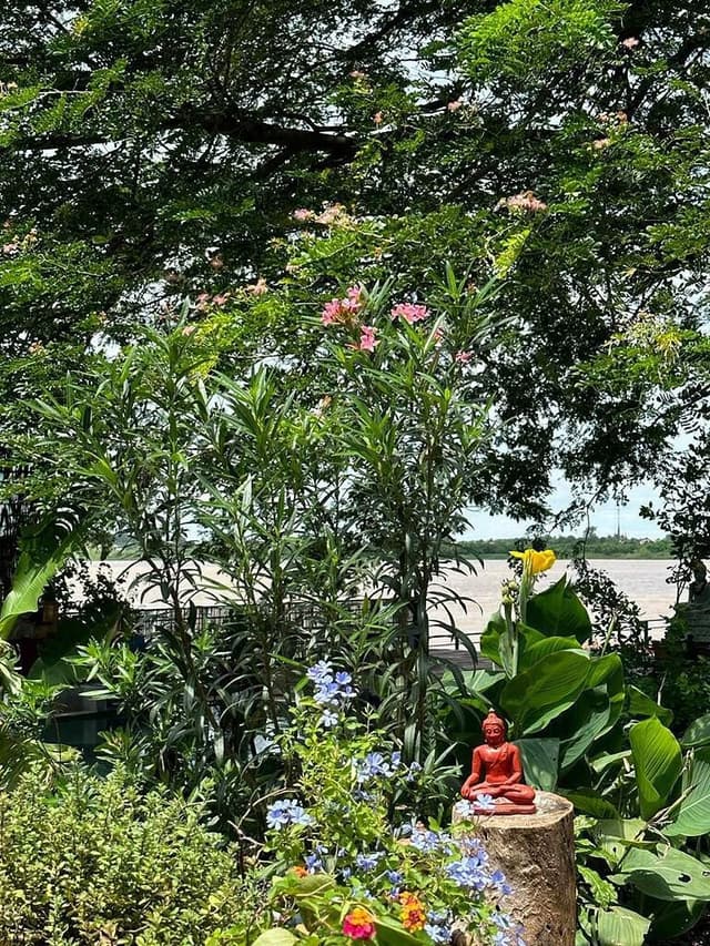 Blue Indigo Yoga Mekong Cambodge