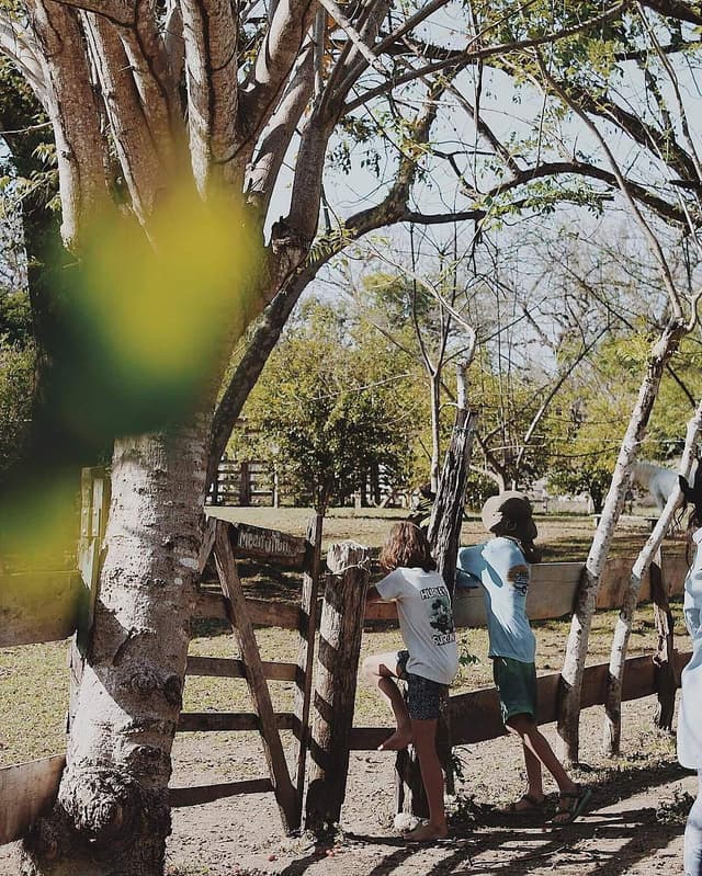 Ranch de résonance
