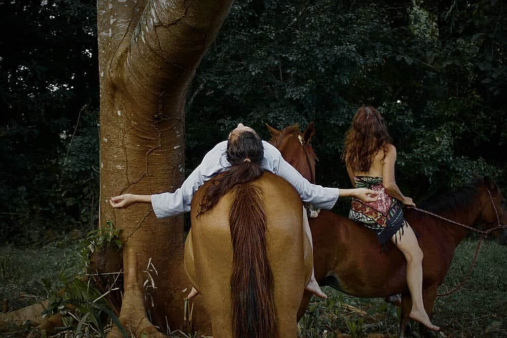 6 Journeau de jour avec des chevaux au Costa Rica