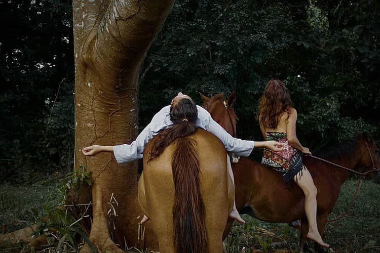 6 Journeau de jour avec des chevaux au Costa Rica