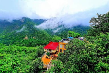 8 Hari Detoks Ayurvedic dan Retret Yoga di Rishikesh