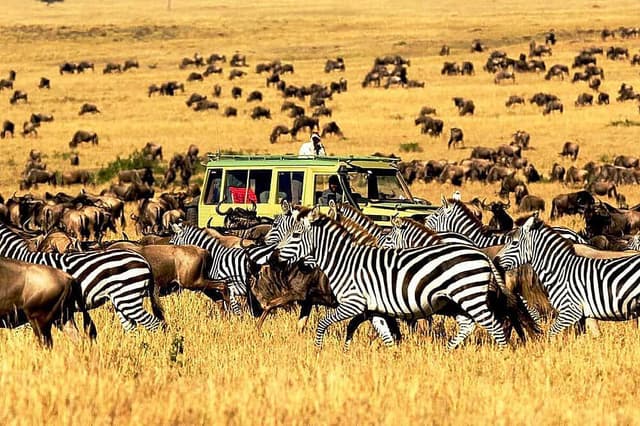 8 Safari Hari ke Ngorongoro dan Taman Negara Serengeti, Afrika