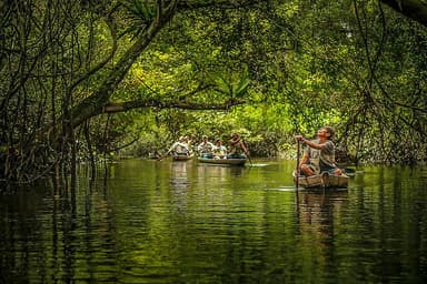 7 Meditasi Hutan Penghiburan Suci & Retret Yoga di Peru
