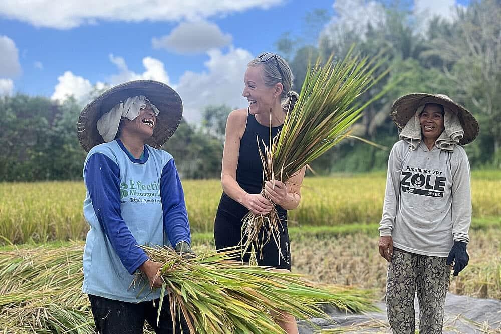 5 Araw perpektong balanse ng pagpapahinga at pag -aaral sa Ubud, Bali