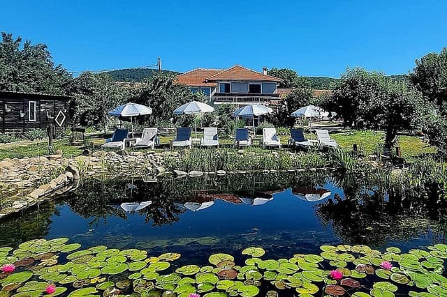 4 Retreat Latihan REIKI Tahap 1 hari di Bulgaria yang indah