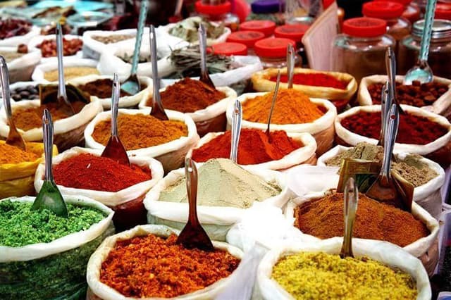 11 Day 'Colours of India' Tour with Meditation, Rajasthan