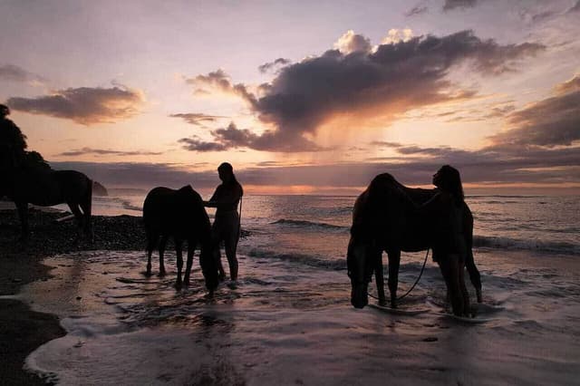 6 Journeau de jour avec des chevaux au Costa Rica