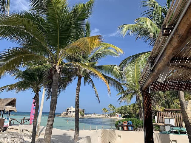4 Day Yoga et Expérience de plongée en apnée à Isla Mujeres, Mexique