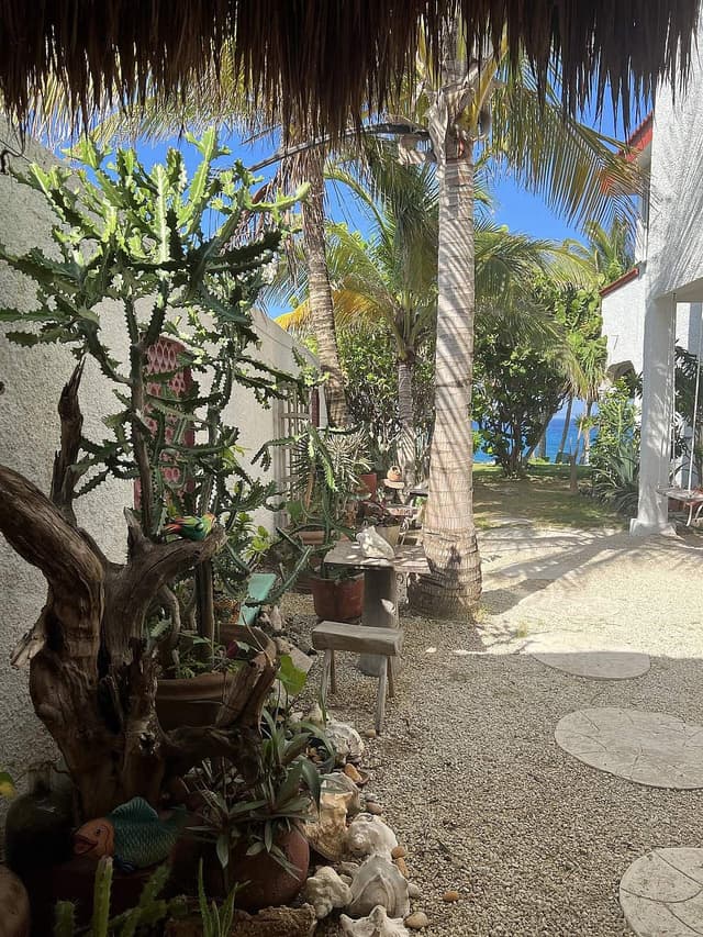 4 Day Yoga et Expérience de plongée en apnée à Isla Mujeres, Mexique