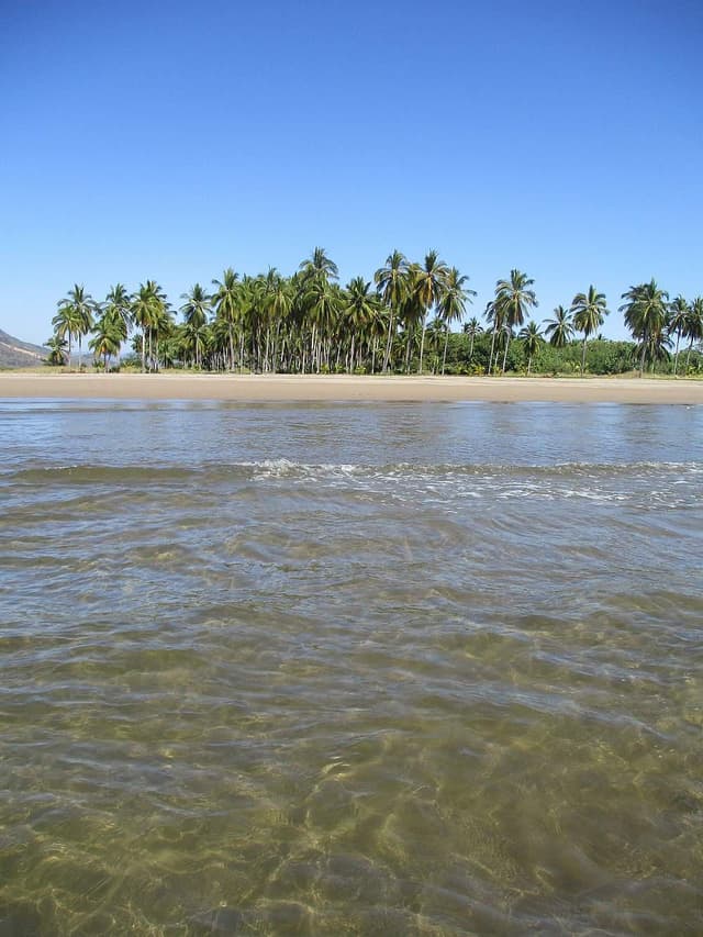 7 Day 'Feel Your Flow' Yoga & Wellness Retreat in Nayarit, Mexico