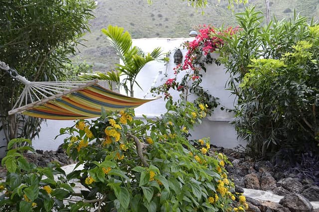 7 Urut Tantra Swasta & Retreat Yoga Private di Tenerife, Sepanyol