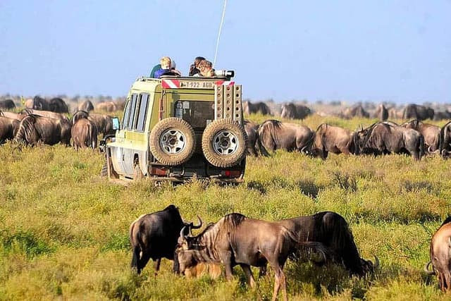 5 Day Safari to Tarangire, Lake Manyara, & Ngorongoro, Africa