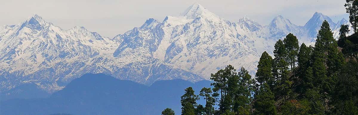 Rumah Sakit AyurVAID Uttarakhand
