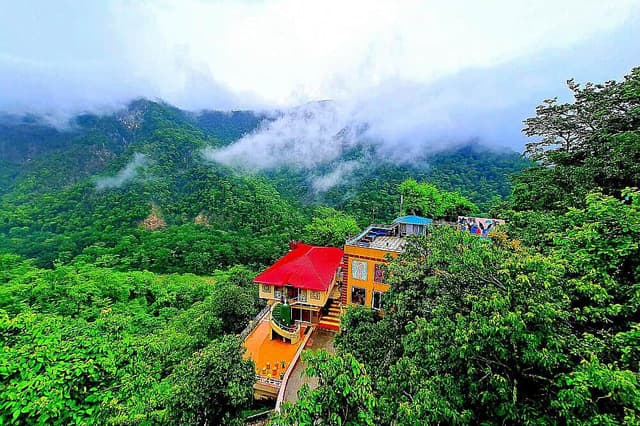 8 Hari Detoks Ayurvedic dan Retreat Yoga Hari Rishikesh di Rishikesh