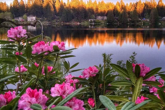 3 Retret Spiritual Day Cottage Lake B&B di Woodinville, Amerika Syarikat