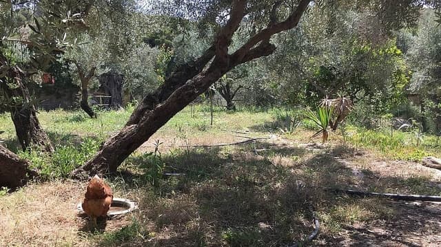 6 Pause de jour écouter et reconnecter avec vous-même une retraite de danse, l'Espagne