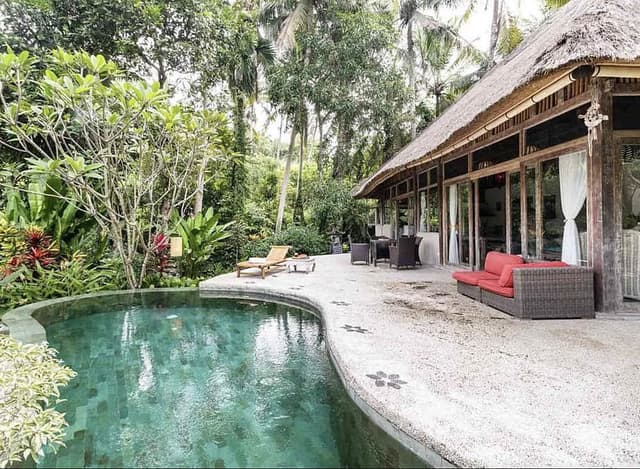 5 Day Vibrance Private Yoga Therapy Retreat in Ubud, Bali