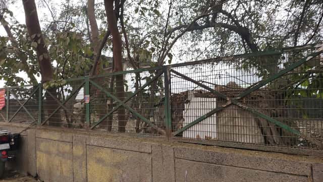 Panchsheel Hospital
