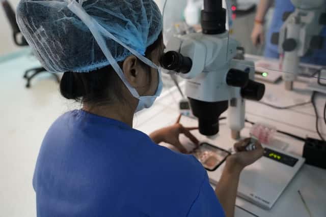 Nova IVF Fertility Hospital